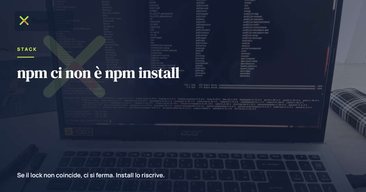 npm ci non è npm install